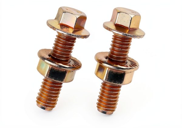 Downhill Flange Hex Screw Kit for Cars-3