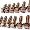 LS Series Exhaust Header Bolts 304 Stainless Steel-5