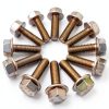 LS Series Exhaust Header Bolts 304 Stainless Steel-4