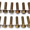LS Series Exhaust Header Bolts 304 Stainless Steel-1