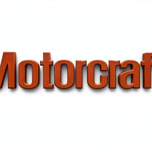 Motorcraft YH1895 Stainless Steel Brake Pump-0