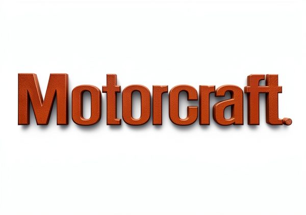 Motorcraft YH1895 Stainless Steel Brake Pump-0