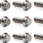 Stainless Steel Hexagon Bolt SWQS M8x1.25LS01-0