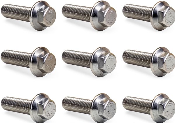 Stainless Steel Hexagon Bolt SWQS M8x1.25LS01-0