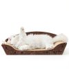 Apollo Large Cat Scratcher Sofa USC090135L Orthopedic Lounger-1