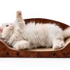 Apollo Large Cat Scratcher Sofa USC090135L Orthopedic Lounger-0