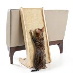 Cat Scratch Ramp PETKARAY Scratching Pad Natural Sisal Dual Placement-0