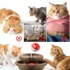 Cat Toy Feierxun Magic Organ Accordion Scratching Pad with Bell Ball-2