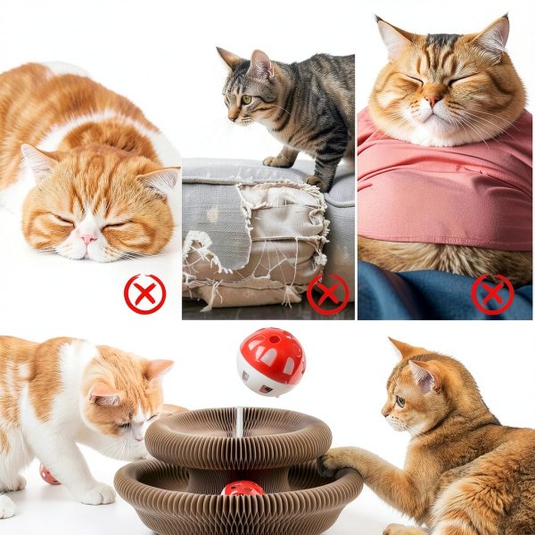 Cat Toy Feierxun Magic Organ Accordion Scratching Pad with Bell Ball-2