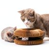 Cat Toy Feierxun Magic Organ Accordion Scratching Pad with Bell Ball-3